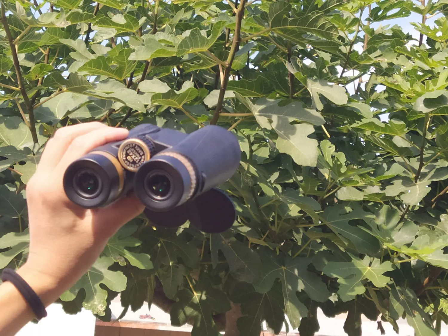 K&F Concept 12x42 binocolo professionale con clip telefono