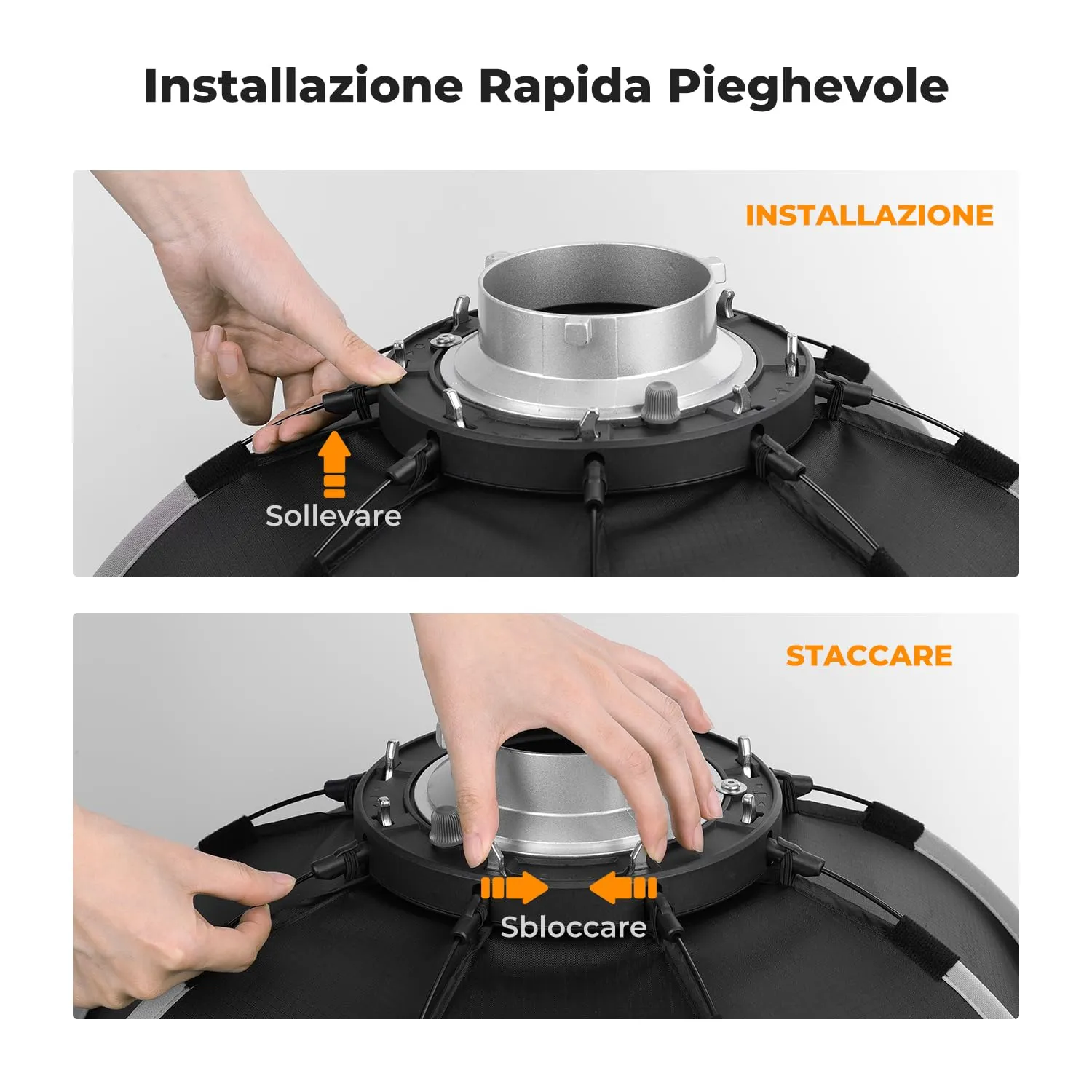 Concept Softbox Parabolico 55cm Bowens con Griglia