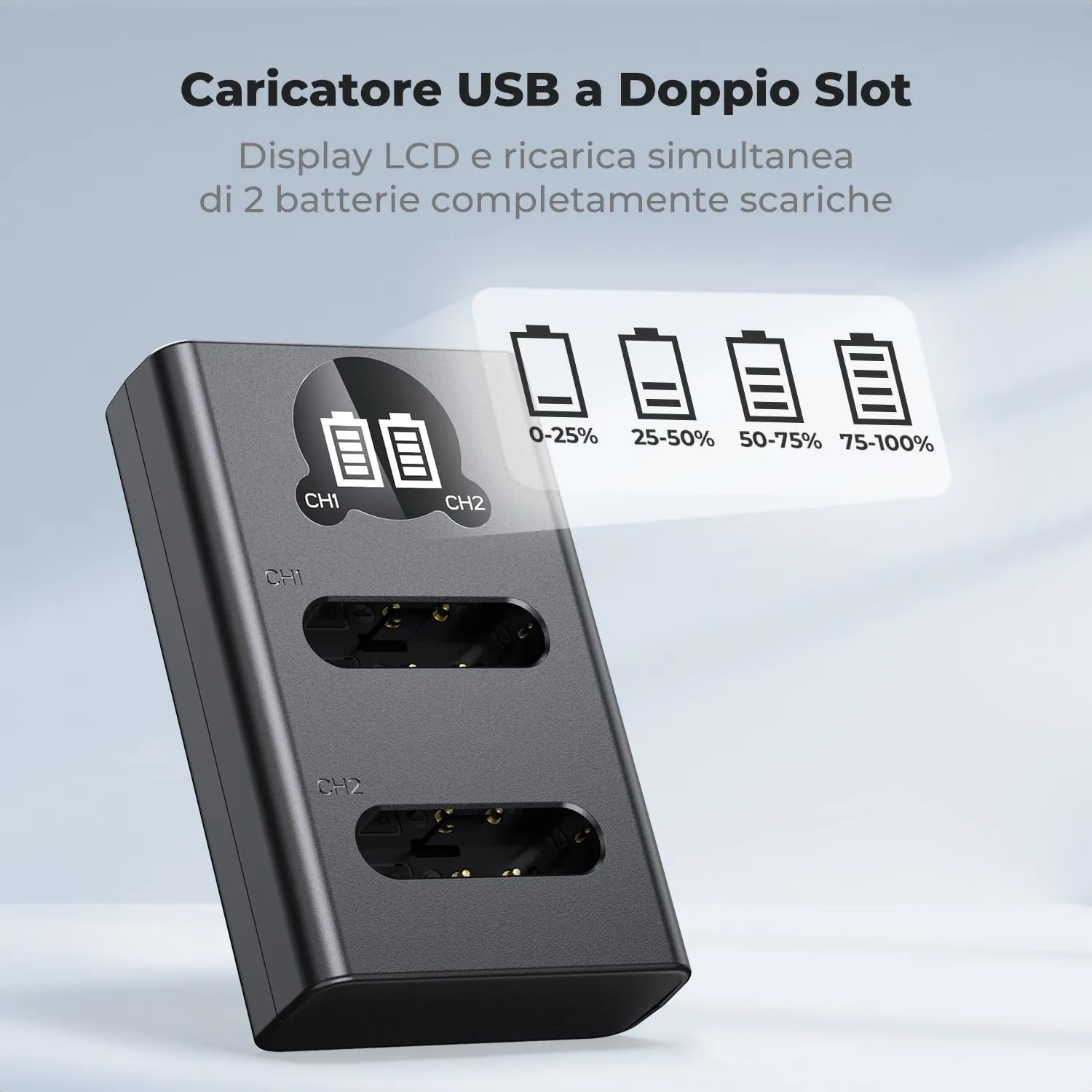 K&F Concept 2 batterie DB-110 1100mAh con caricatore LCD