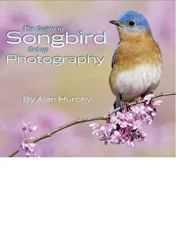 Lenscoat Songbird Set-up Guida eBook fotografia uccelli su posatoi