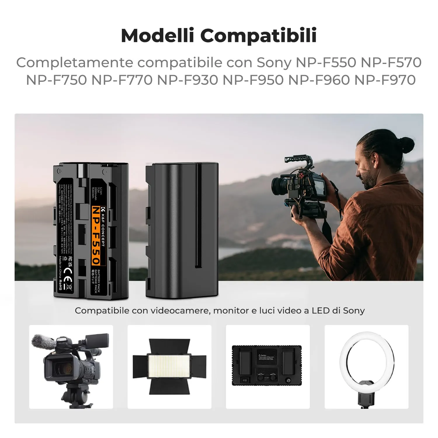 K&F Concept NP-F550 batterie 2x 2200mAh + caricatore
