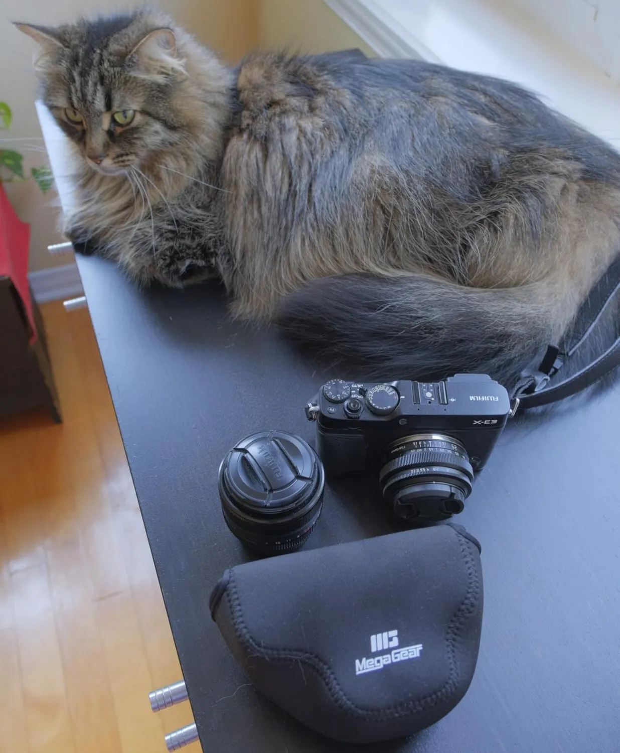 MegaGear MG1983 custodia neoprene Fujifilm X-E4 nero ultra leggera