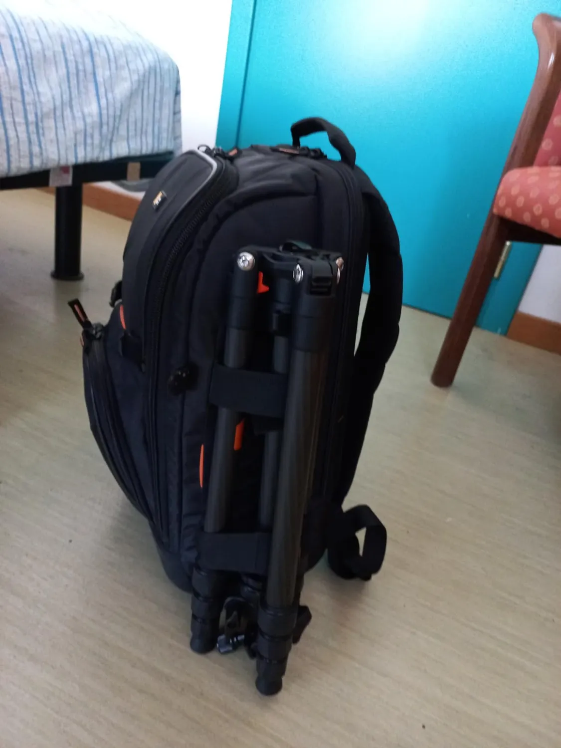 K&F Concept K254C2+BH-36L Treppiede Carbonio 162cm