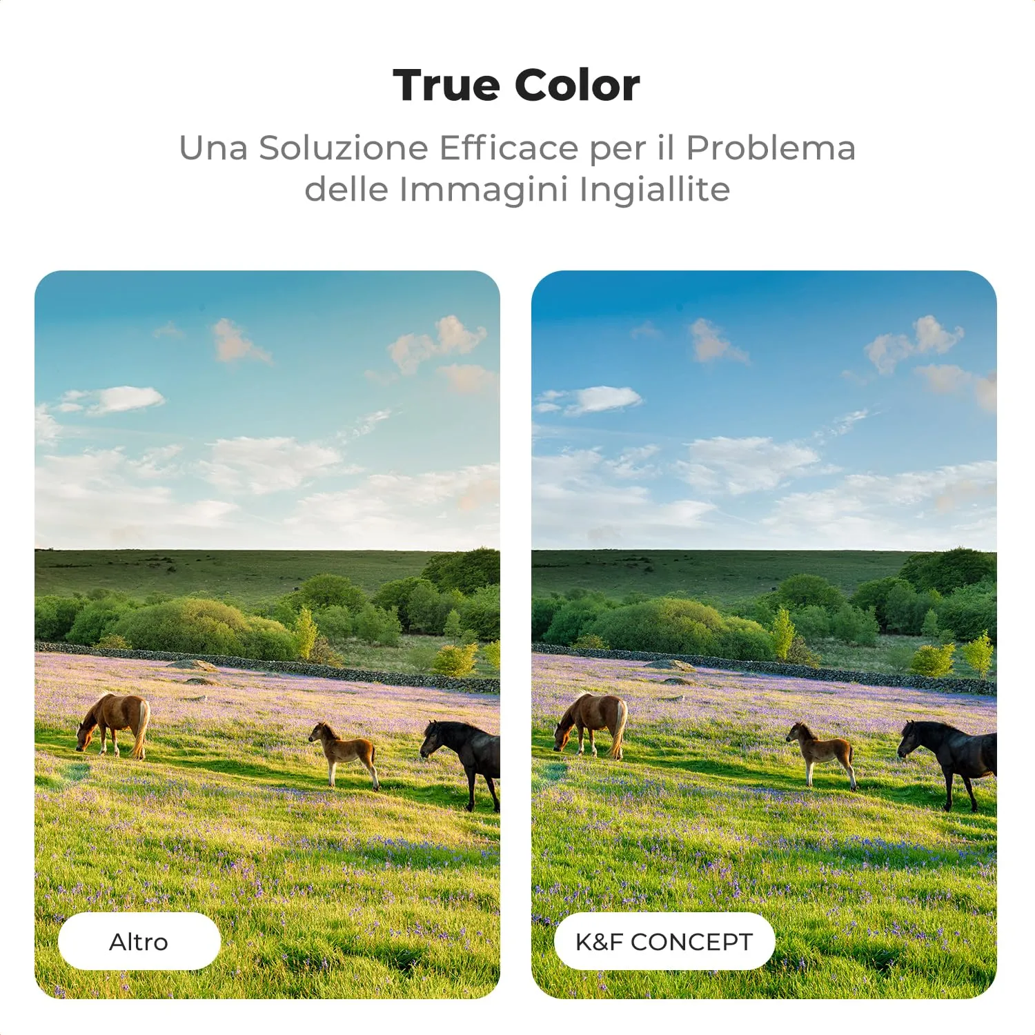K&F Concept Nano-Xcel Filtro ND2-32 67mm True Color Video