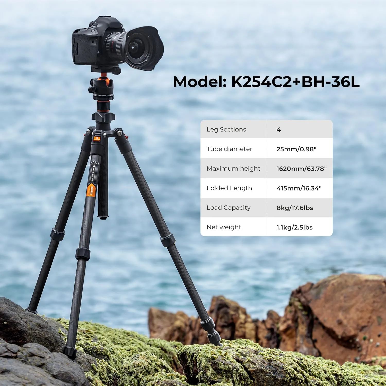 K&F Concept K254C2+BH-36L Treppiede Carbonio 162cm