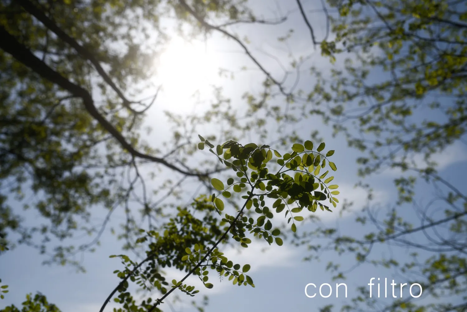 K&F Concept Nano-Xcel Black Mist 1/4 filtro 67mm cinema