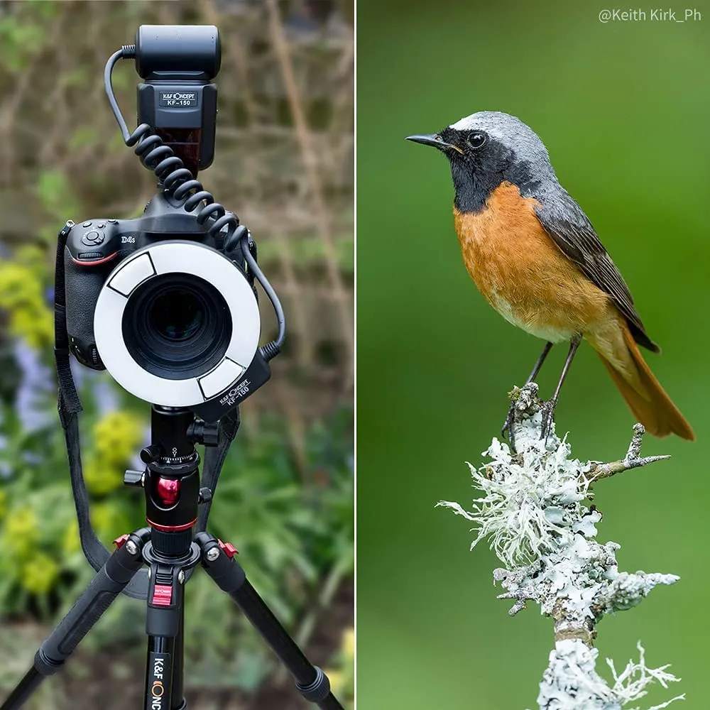 K&F Concept Flash Anulare Macro TTL Canon luce LED